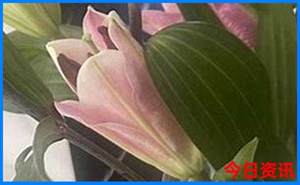 贵阳漂流去哪里比较好玩